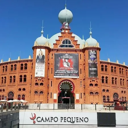 Daire Campo's Lisboa